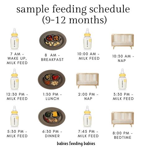 Baby Led Weaning 9-12 Month Old Sample Schedule