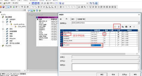 Informatica Automapping Demo 的图像结果