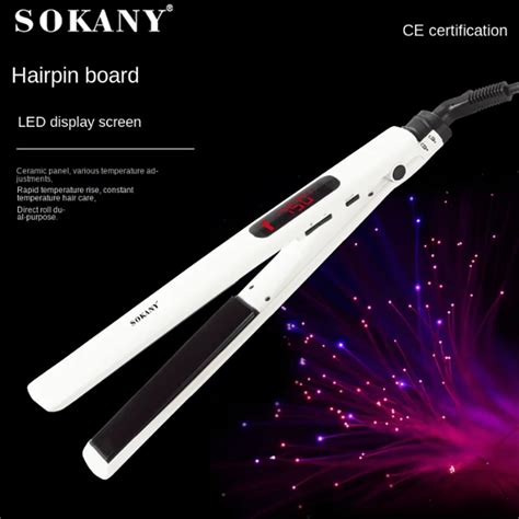 Professional Hair Straightener, Professional Portable Dual Voltage ...