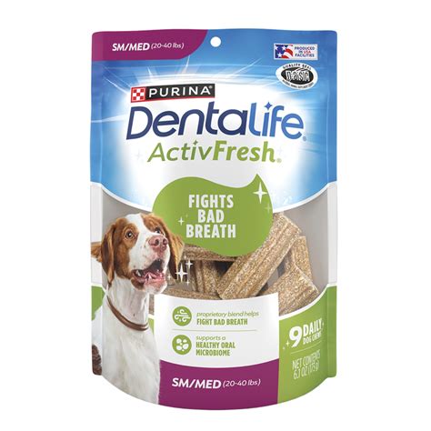 Cavities in Dog’s Teeth - Causes & Treatment | Purina US