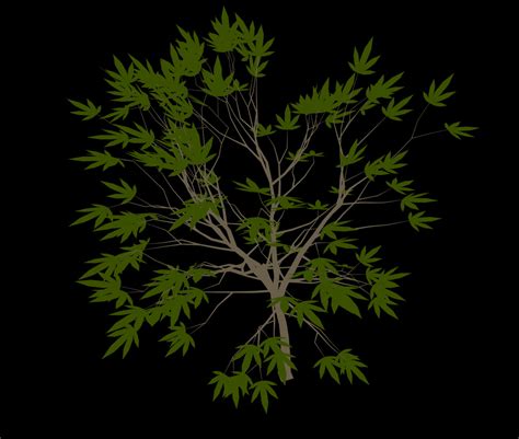 Image result for Sapling Tree Generator Download