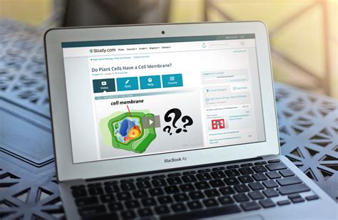 Image result for study.com