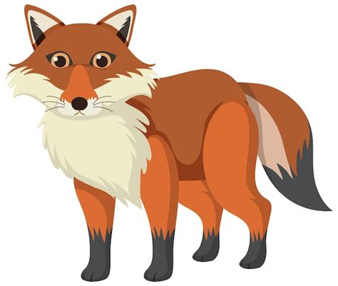 キツネ イラスト 画像 - Freepikで無料ダウンロード