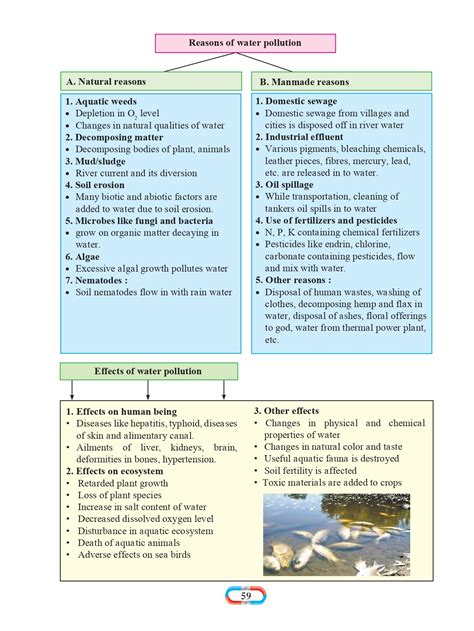 Image result for 8Std Science Marathi