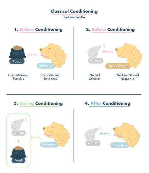 Classical Conditioning in Humans 的图像结果