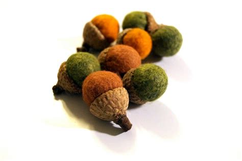 Image result for Acorns Tutorial