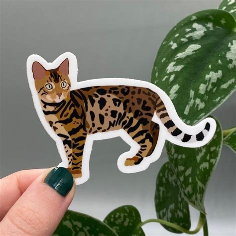 Image result for Scratch Cat Stickers