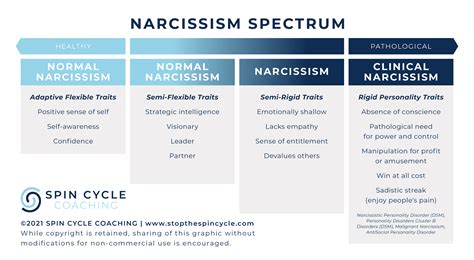 What Is Narcissistic Abuse? — Spin Cycle Coaching