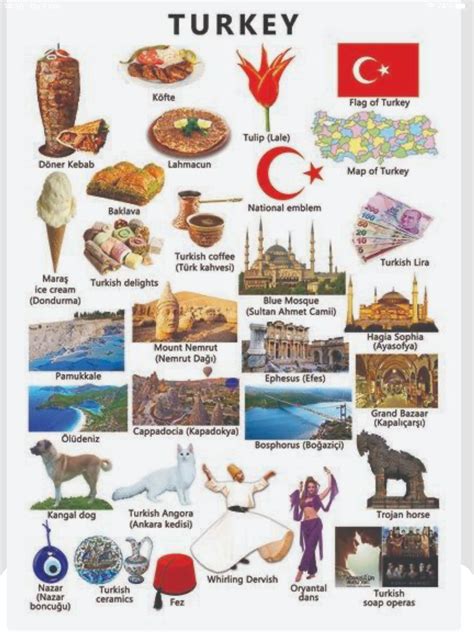 Pin by prins on PUK Feesten | Geography for kids, Travel and tourism, Travel infographic