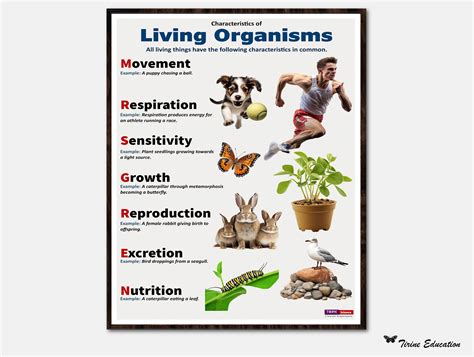 Biology Living Things 的图像结果
