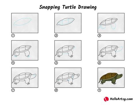 Image result for Snapping Turtle Drawing Easy