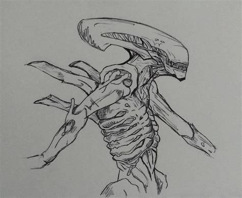 Alien drawing | Creature artwork, Alien drawings, Concept art digital
