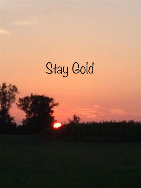 Stay Gold Ponyboy Sunset