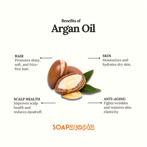 Argan Oil for Healthy Skin | Soapatopia