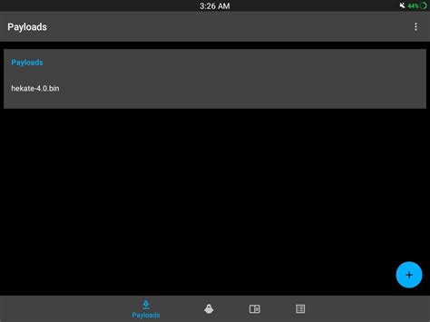 RCM Loader Tutorial 的图像结果