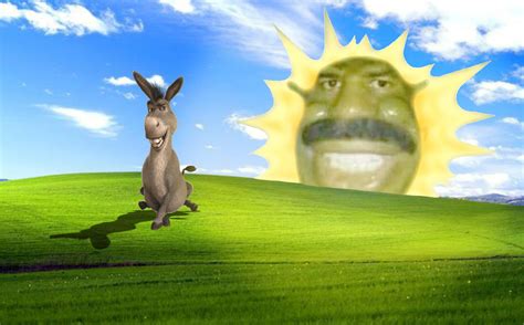 Memes Wallpaper Windows