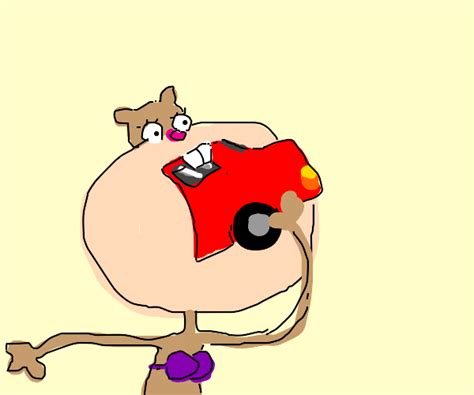 Image result for Sandy Cheeks Car