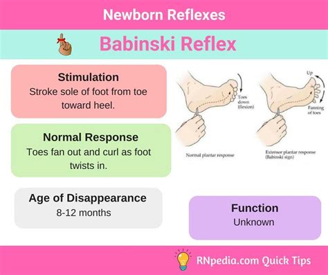 Newborn Reflex 的图像结果
