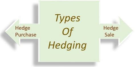 Hedging Example 的图像结果