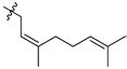 The Development of Tyrosyl-DNA Phosphodiesterase 1 Inhibitors ...