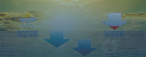 Sea Water 的图像结果