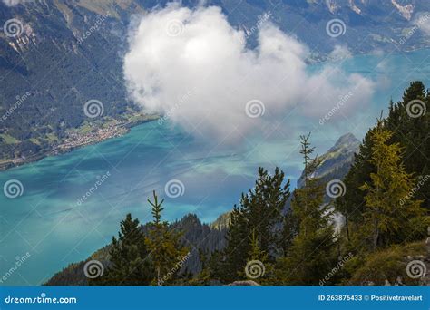 Image result for Computer Framee