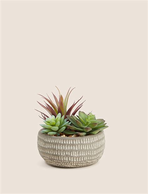 Buy Artificial Succulents in Concrete Pot at Marks & Spencer