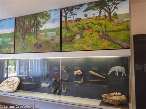 Image result for Germany GeoJSON Museum