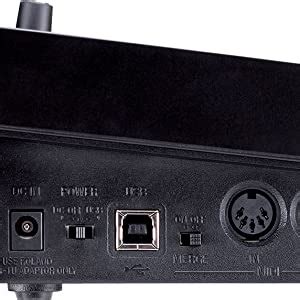 Roland A-300 PRO-R 32-Keys MIDI Keyboard Controller, Black : Amazon.in ...