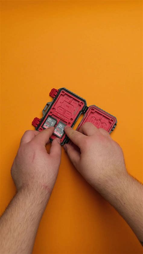 Brother+Sister+Xxxxx+Videos+Hindi Videos, Download The BEST Free 4k Stock Video Footage ...