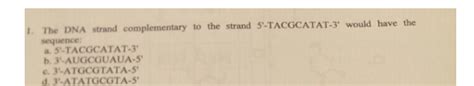 Solved The DNA strand complementary to the strand | Chegg.com