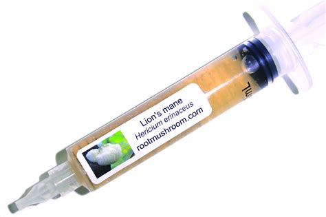 Root Mushroom Farm Mushroom Liquid Cultures Lions Mane Hericium ...