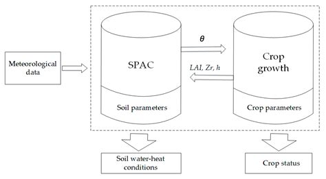 A Coupled Model for Simulating Water and Heat Transfer in Soil-Plant ...
