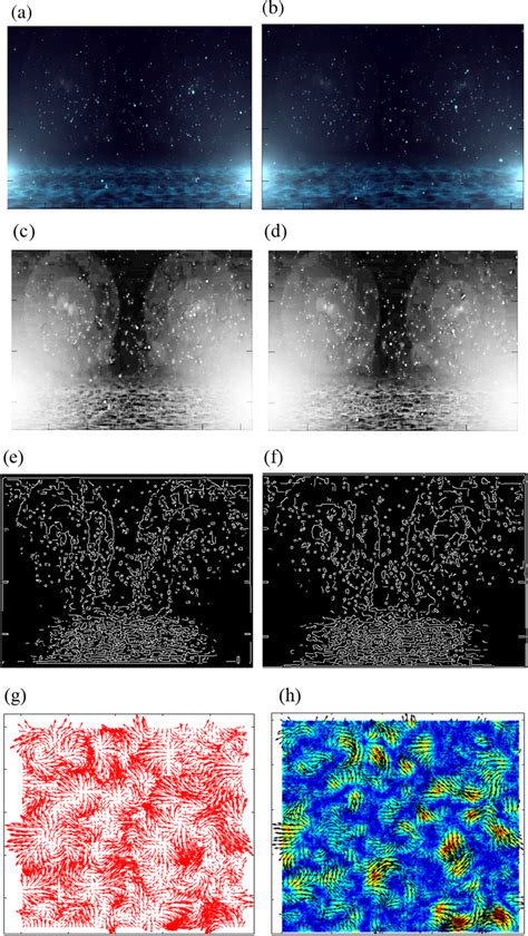Canny Edge Detector Algorithm 的图像结果