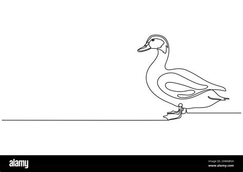 Image result for Duck Single Line Drawing