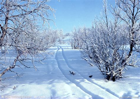 冬天的雪摄影图__自然风景_自然景观_摄影图库_昵图网nipic.com