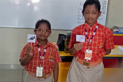 Gender Awareness - SAI Angan