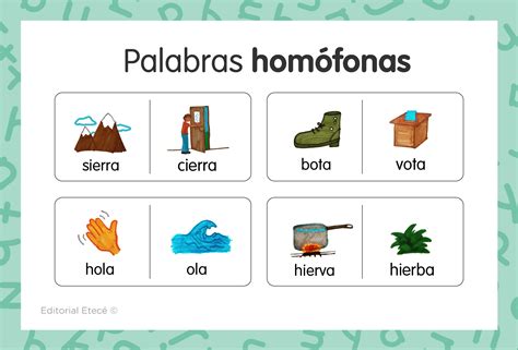 Homónimos (qué son, clases y ejemplos) - Lenguaje.com
