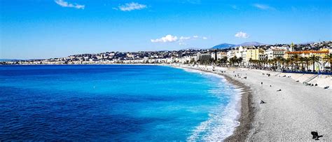 5 Online Marine Biology Degree Programs Abroad | educations.com