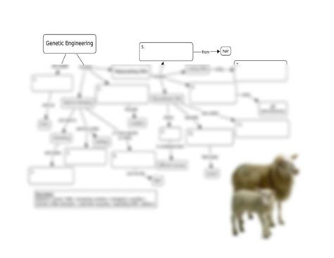 Image result for Genetic Engineering Concept Map
