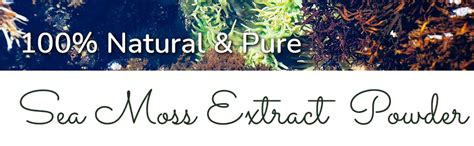 Buy PHs Organic Irish Sea Moss Extract Powder 50g 10:1 | Irish ISO GMP ...
