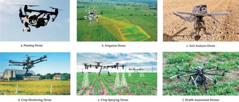Top Applications of Computer Vision in Agriculture (2024)