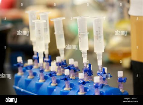 Plasmid Isolation 的图像结果