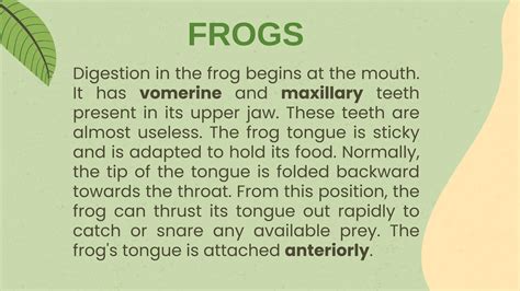 DIGESTIVE SYSTEM OF FROGS AND HUMANS.pdf