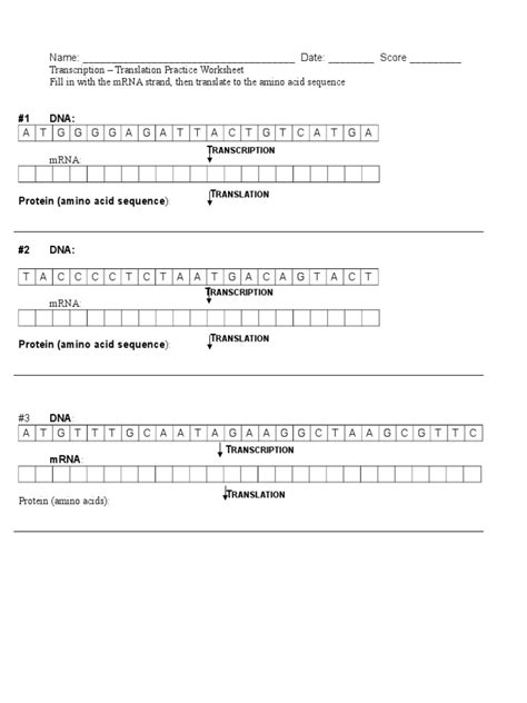 DNA Simulation Worksheet 的图像结果