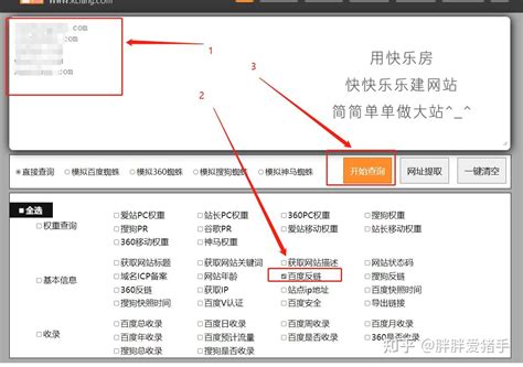 用户注册-白杨SEO-智能批量文章SEO工具