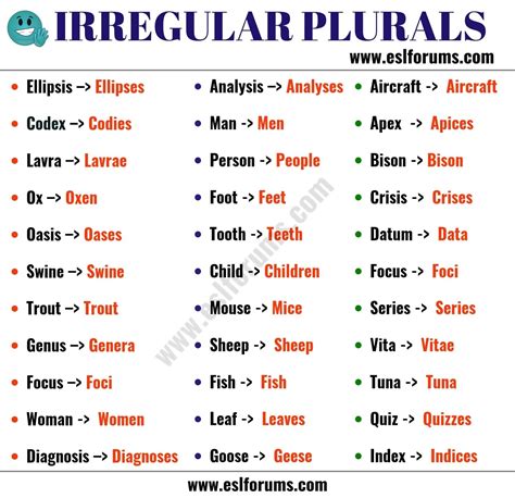 List of 36 Important Irregular Plural Nouns in English