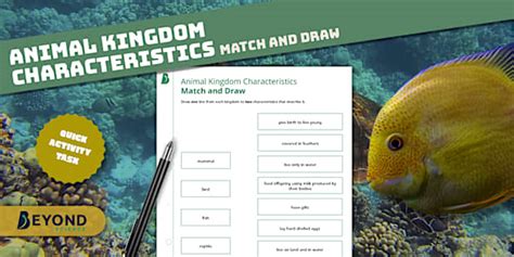 Animal Kingdom Characteristics Match and Draw