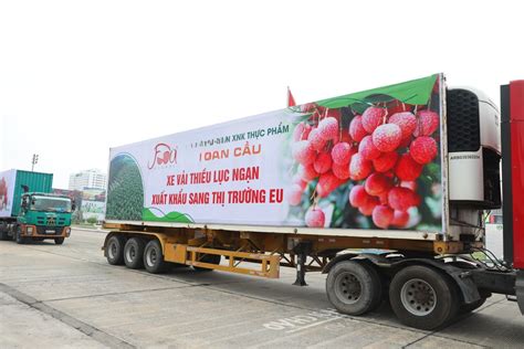 vận chuyển nông sản đóng container