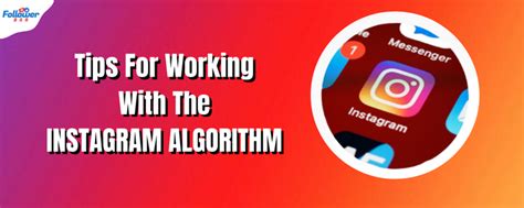 Image result for Best Instagram Algorithm Tips